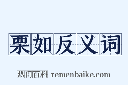 栗如反义词是什么意思的图片